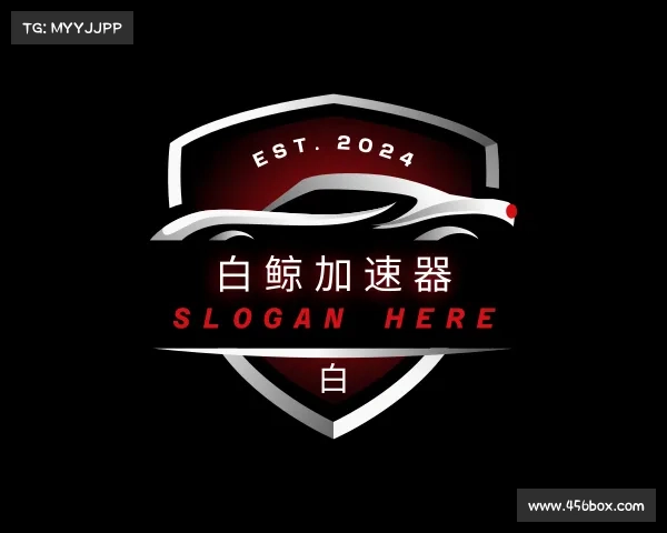 认识白鲸加速器